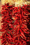 [lots of red chillies]