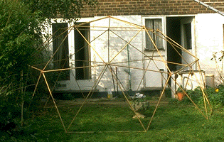 [picture of garden-cane dome]